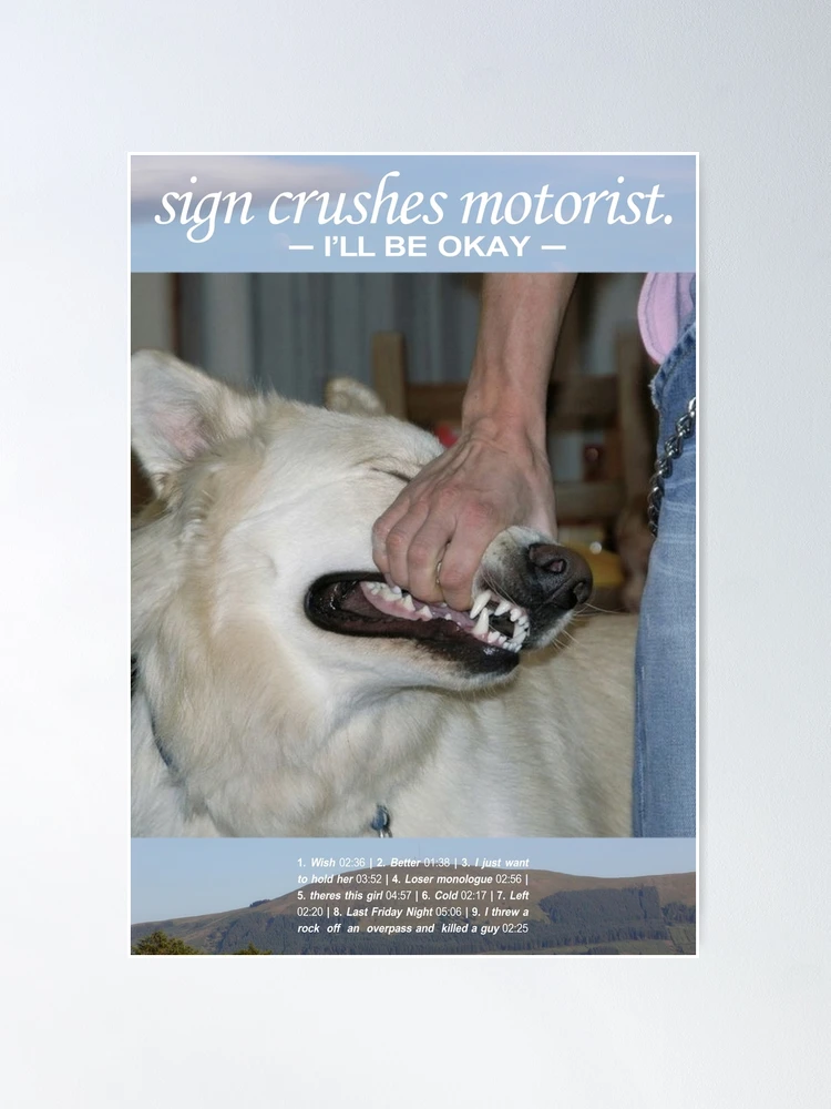 i'll be okay - Album by sign crushes motorist | Spotify