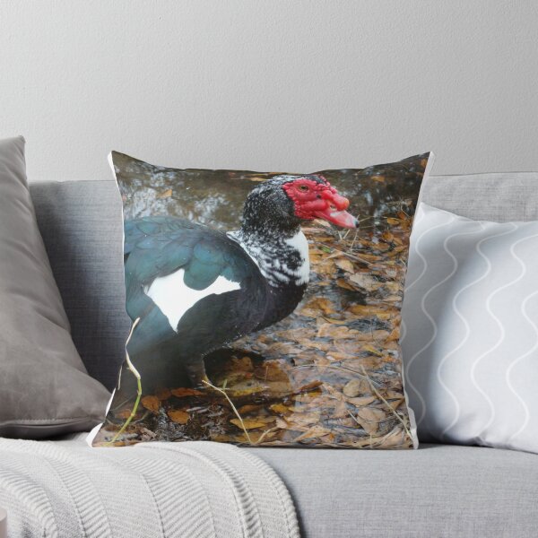 Item preview, Uncle Caruncle designed and sold by May Lattanzio.