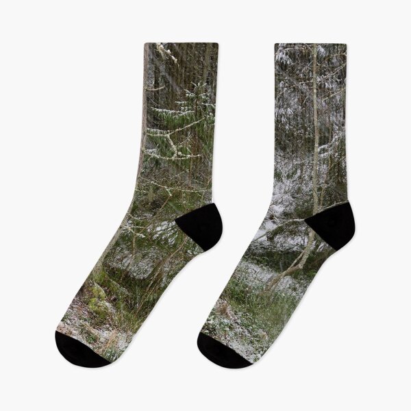 Item preview, Spruce forest. The 1st of Snowember 2024 designed and sold by Jouko Lehto Photography.
