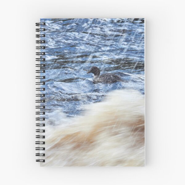 Item preview, Wild waters. Common goldeneye designed and sold by Jouko Lehto Photography.