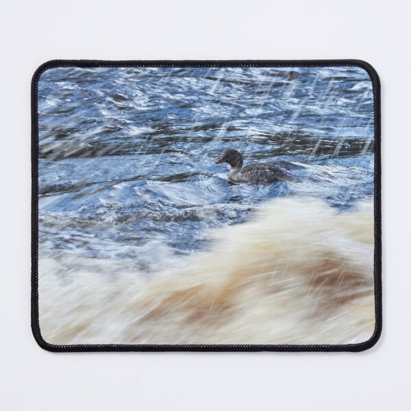 Item preview, Wild waters. Common goldeneye designed and sold by Jouko Lehto Photography.
