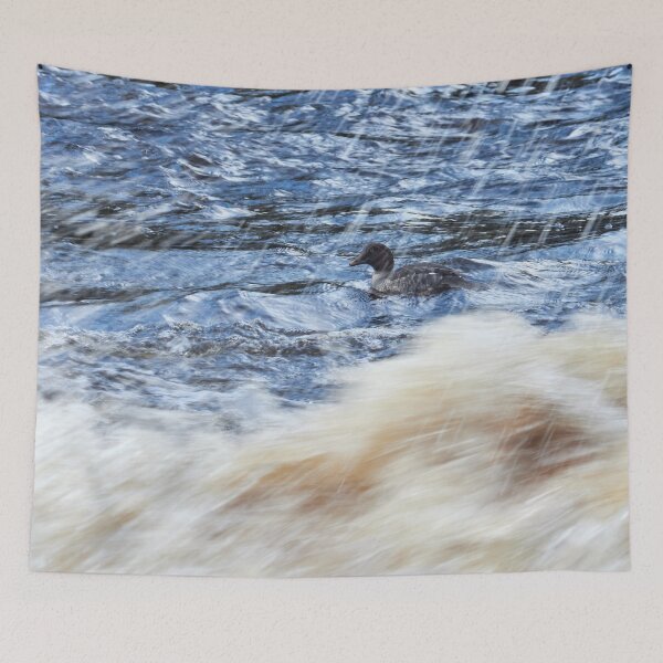 Item preview, Wild waters. Common goldeneye designed and sold by Jouko Lehto Photography.