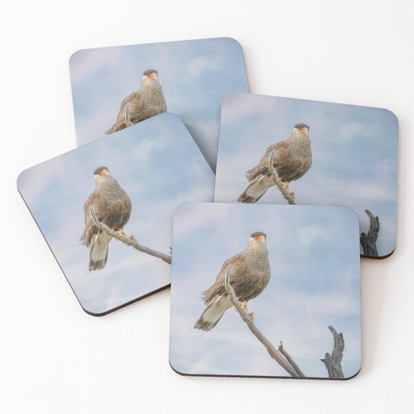 Item preview, Southern Crested Caracara designed and sold by PhotoArt by Joan Carroll.