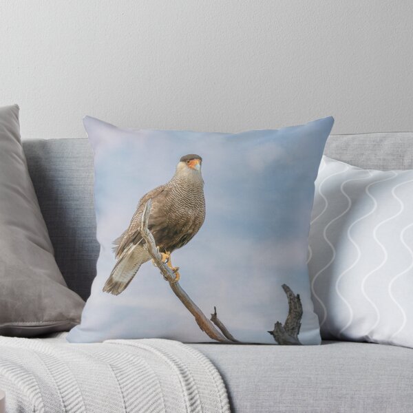 Item preview, Southern Crested Caracara designed and sold by PhotoArt by Joan Carroll.