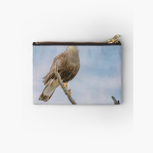 Item preview, Southern Crested Caracara designed and sold by PhotoArt by Joan Carroll.