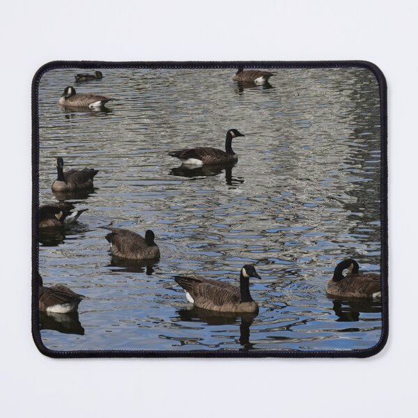 Item preview, Canada geese on a pond designed and sold by Claude Laprise.