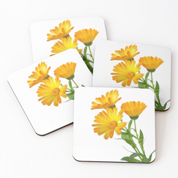 Item preview, Vibrant Orange Marigold Trio designed and sold by Dipab121.