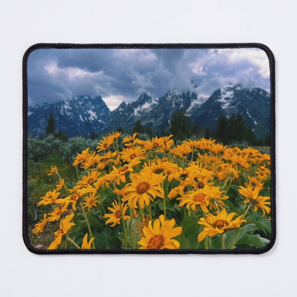Item preview, Teton wildflowers  designed and sold by Kelseymangum.