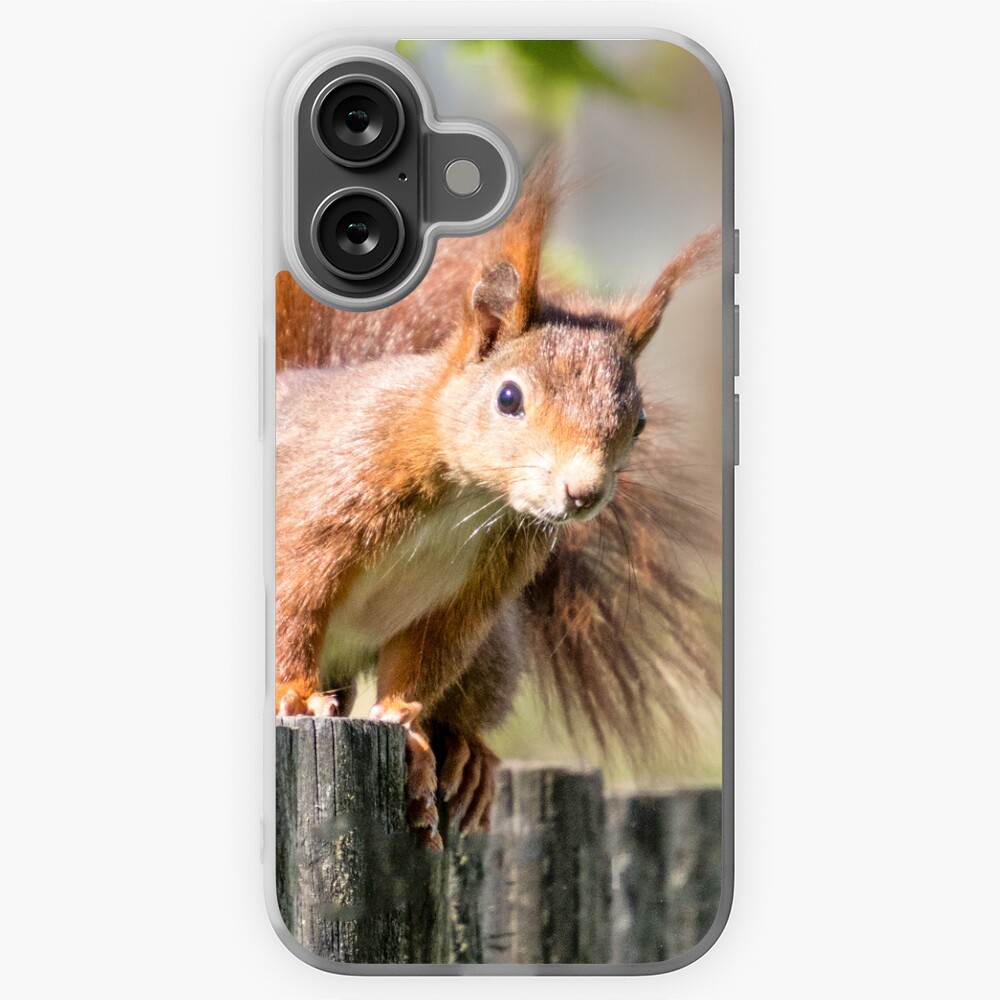 Artikel-Vorschau von iPhone Flexible Hülle, designt und verkauft von Igelchen.