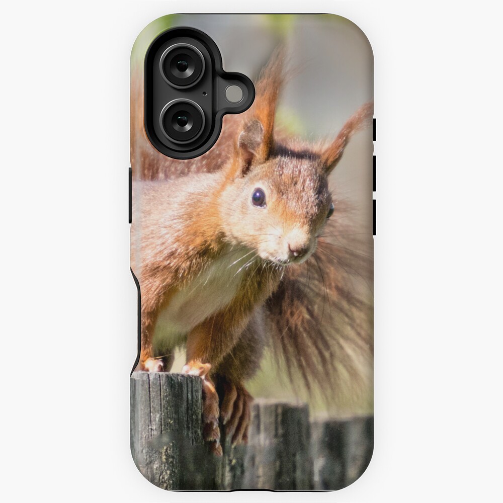 Artikel-Vorschau von iPhone Robuste Hülle, designt und verkauft von Igelchen.