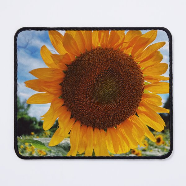 Item preview, Sunflower  designed and sold by Kelseymangum.