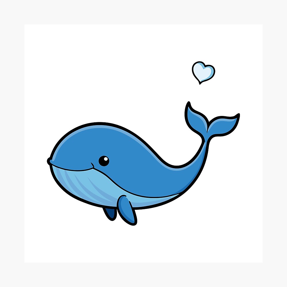 Whale's Gentle Outline Poster