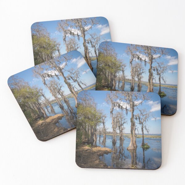 Item preview, Lake Louisa State Park, Florida 3 designed and sold by jrtwynam.