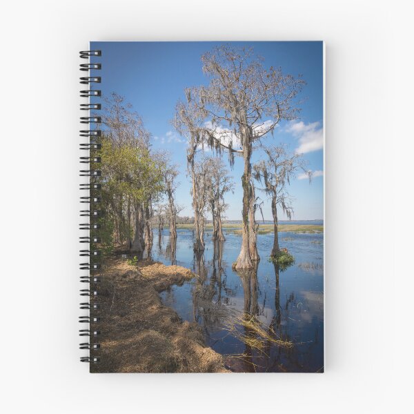 Item preview, Lake Louisa State Park, Florida 3 designed and sold by jrtwynam.