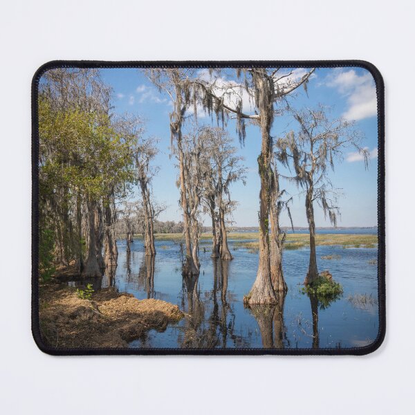 Item preview, Lake Louisa State Park, Florida 3 designed and sold by jrtwynam.
