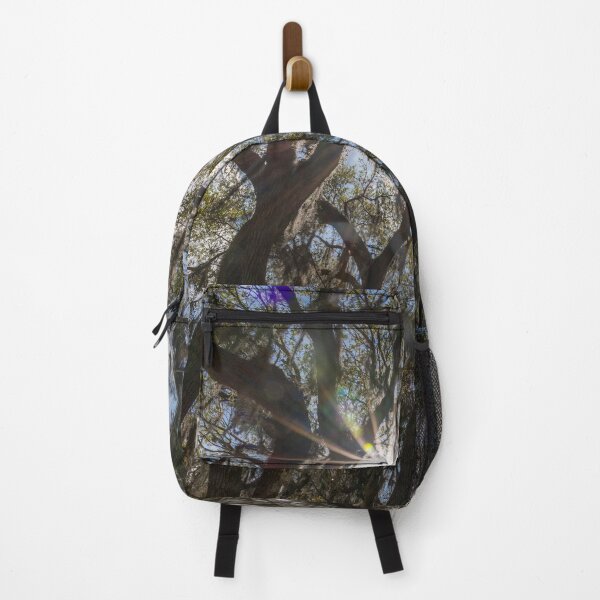Item preview, Lake Louisa State Park, Florida 4 designed and sold by jrtwynam.