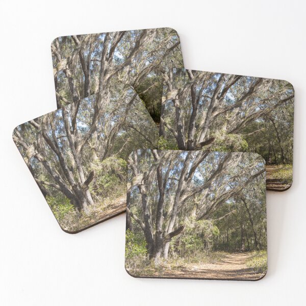 Item preview, Lake Louisa State Park, Florida 6 designed and sold by jrtwynam.