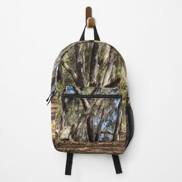 Item preview, Lake Louisa State Park, Florida 6 designed and sold by jrtwynam.