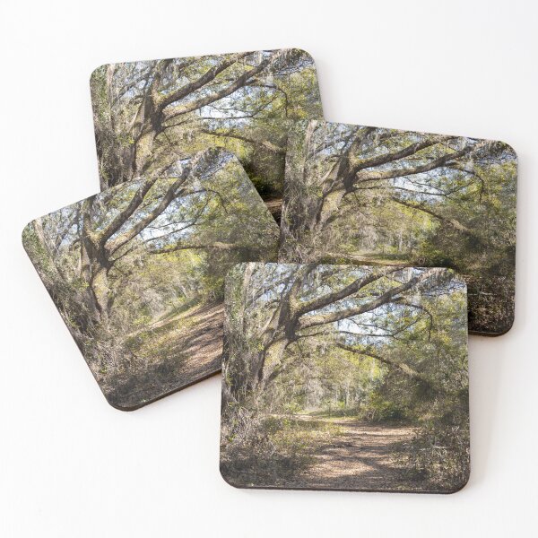 Item preview, Lake Louisa State Park, Florida 7 designed and sold by jrtwynam.