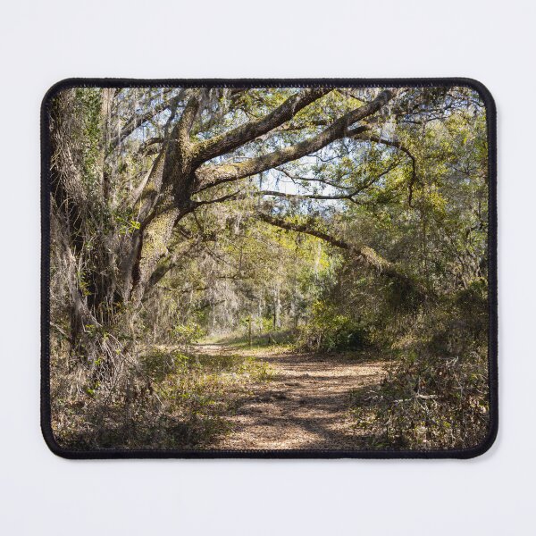 Item preview, Lake Louisa State Park, Florida 7 designed and sold by jrtwynam.