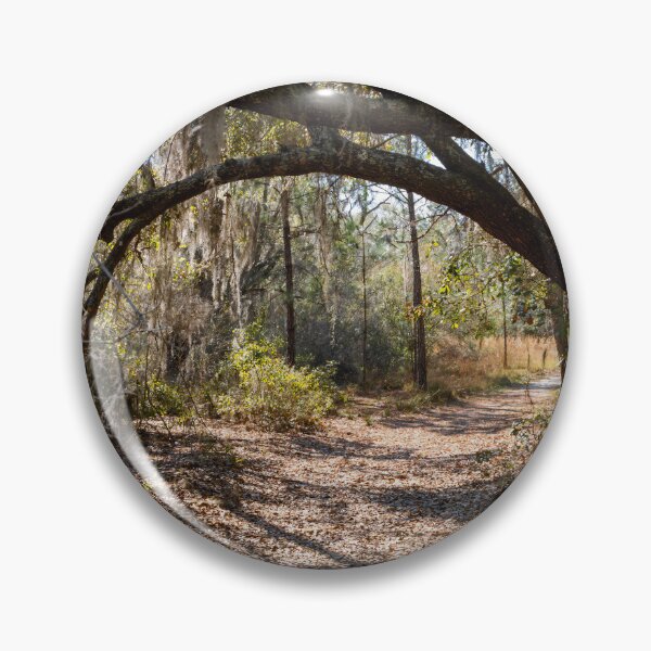 Artikelvorschau, Lake Louisa State Park, Florida 8 entworfen und verkauft von jrtwynam.