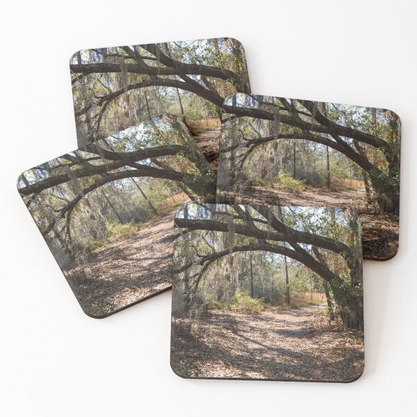 Item preview, Lake Louisa State Park, Florida 8 designed and sold by jrtwynam.