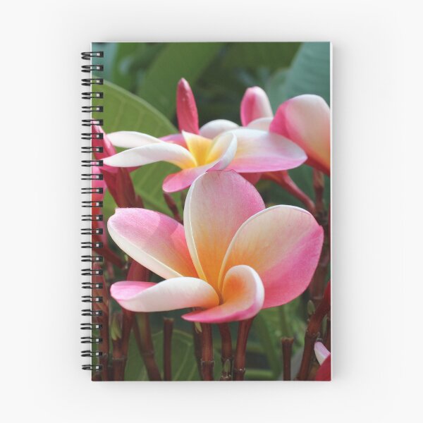Item preview, Peruvian Plumeria Velvet Flora 01 designed and sold by a.j. forrester photography.