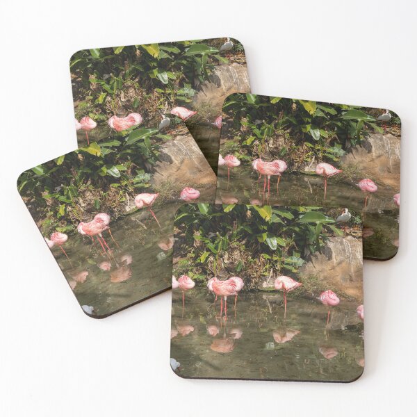 Item preview, Pink Flamingos Relax in a Pond designed and sold by jrtwynam.