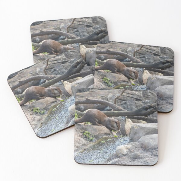Item preview, Otter Gathering Food from a Stream designed and sold by jrtwynam.