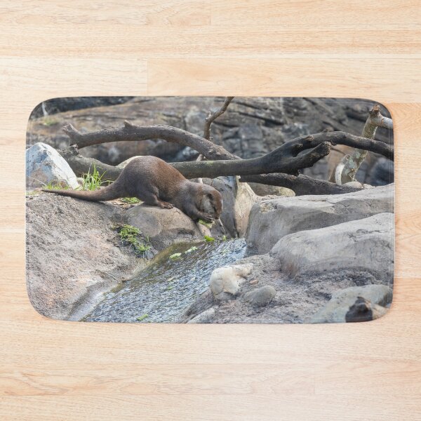 Item preview, Otter Gathering Food from a Stream designed and sold by jrtwynam.