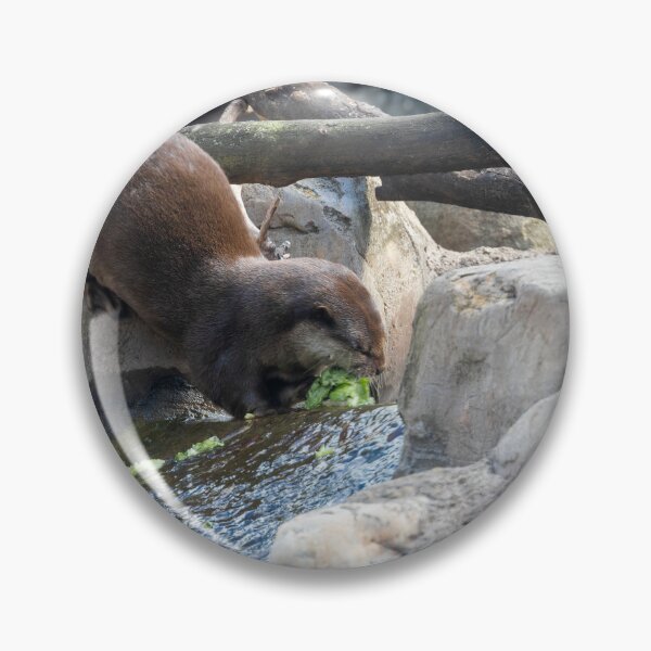 Item preview, Otter Gathering Food from a Stream 2 designed and sold by jrtwynam.