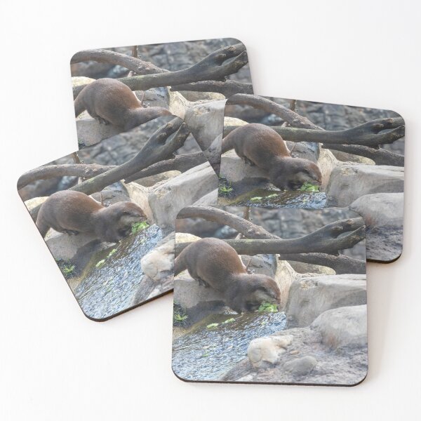 Item preview, Otter Gathering Food from a Stream 2 designed and sold by jrtwynam.