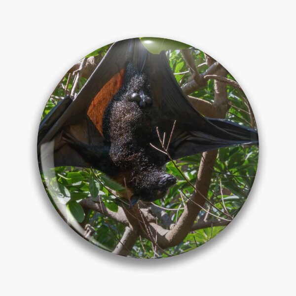 Item preview, Bat Hanging Out in a Tree designed and sold by jrtwynam.