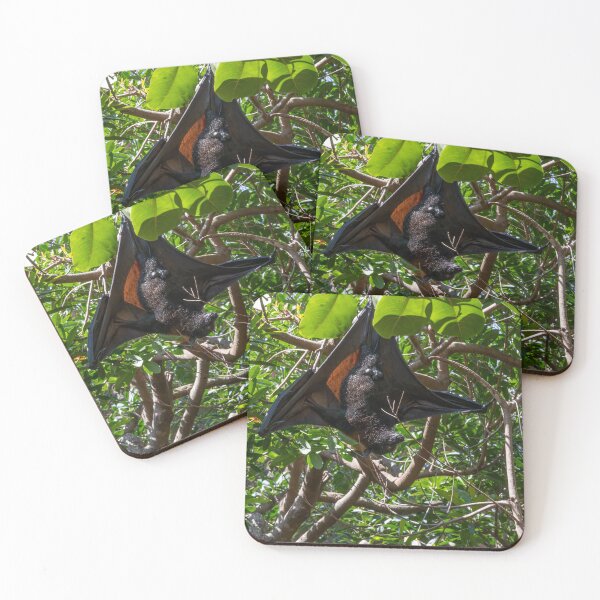 Item preview, Bat Hanging Out in a Tree designed and sold by jrtwynam.
