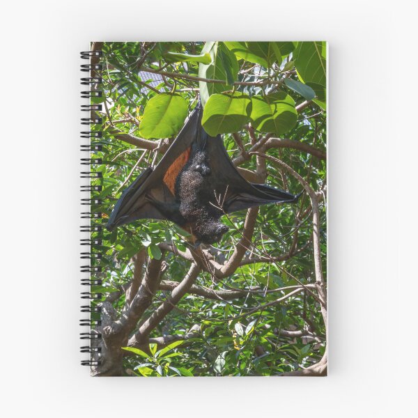 Item preview, Bat Hanging Out in a Tree designed and sold by jrtwynam.