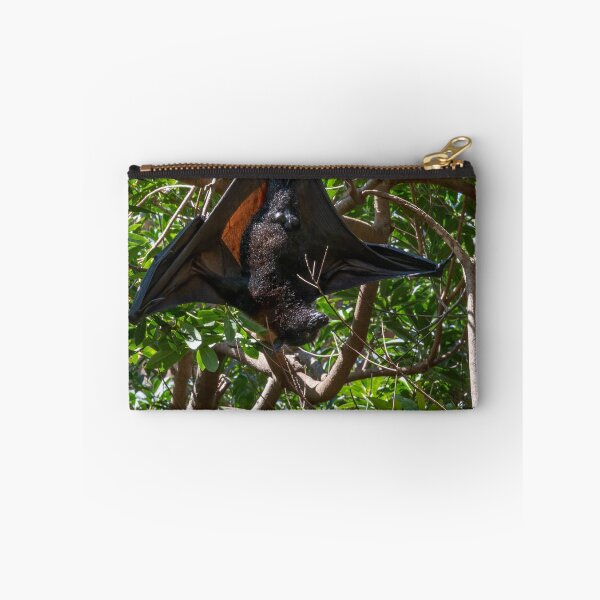 Item preview, Bat Hanging Out in a Tree designed and sold by jrtwynam.