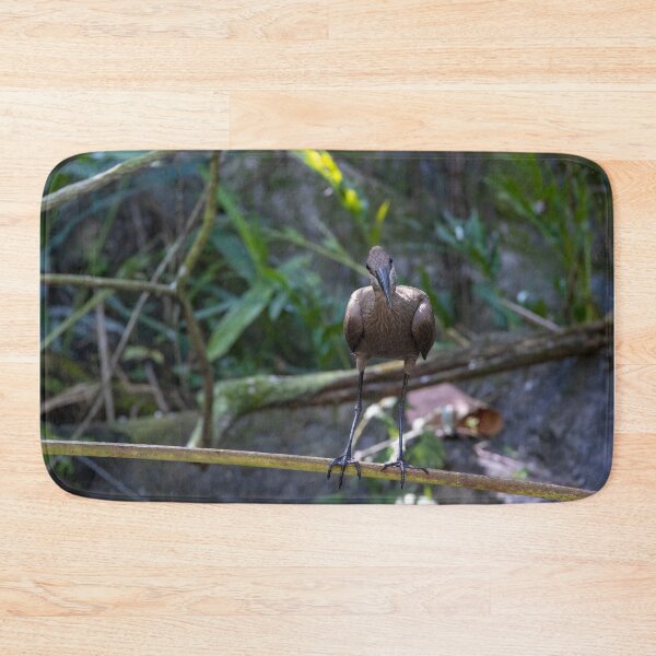 Item preview, Hamerkop Looking at the Camera designed and sold by jrtwynam.