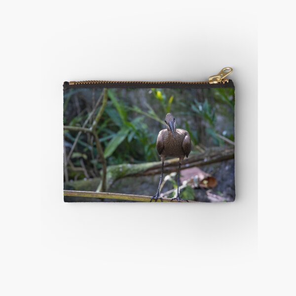 Item preview, Hamerkop Looking at the Camera designed and sold by jrtwynam.