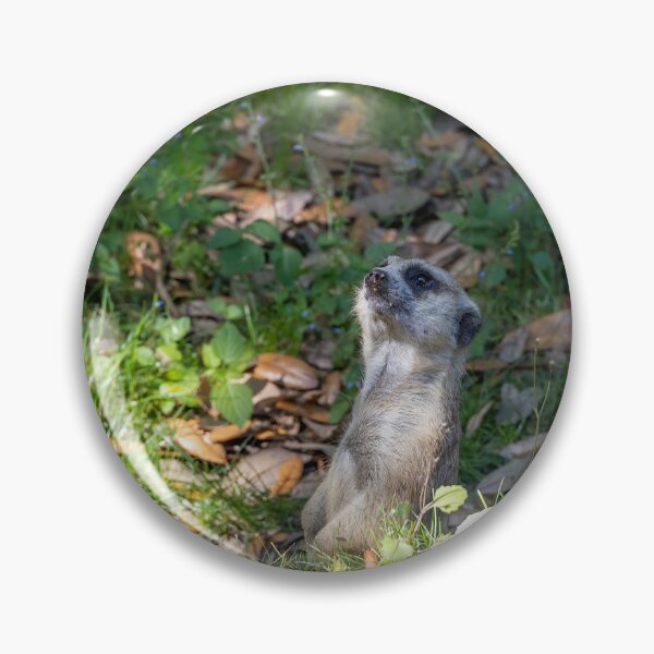 Item preview, Meerkat Looks Up to the Sky designed and sold by jrtwynam.