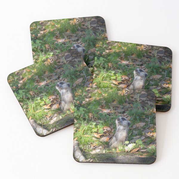 Item preview, Meerkat Looks Up to the Sky designed and sold by jrtwynam.