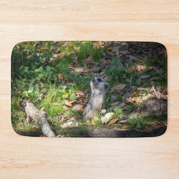Item preview, Meerkat Looks Up to the Sky designed and sold by jrtwynam.