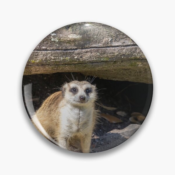 Item preview, Meerkat Looking at Camera designed and sold by jrtwynam.