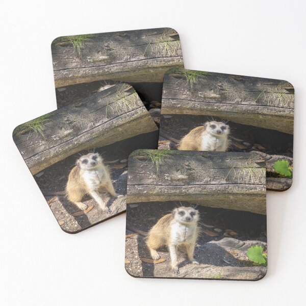 Item preview, Meerkat Looking at Camera designed and sold by jrtwynam.