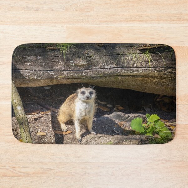 Item preview, Meerkat Looking at Camera designed and sold by jrtwynam.