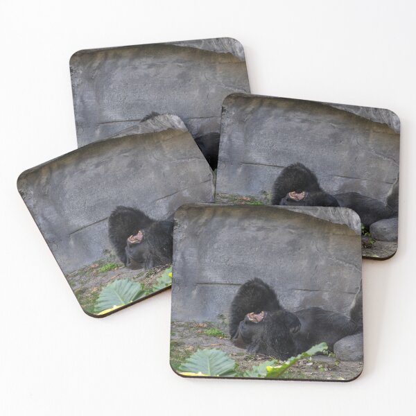 Item preview, Adult Gorilla On the Ground Laughing designed and sold by jrtwynam.