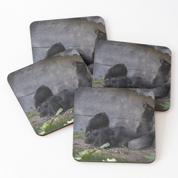 Item preview, Adult Gorilla Looking at Camera designed and sold by jrtwynam.