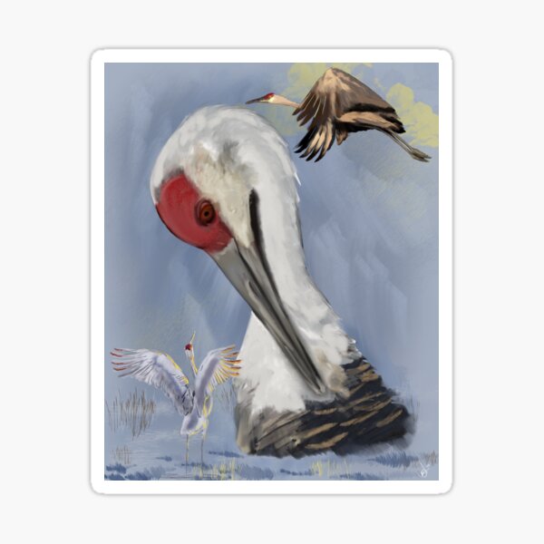 Item preview, Sandhill Cranes designed and sold by luvalwayshoots.