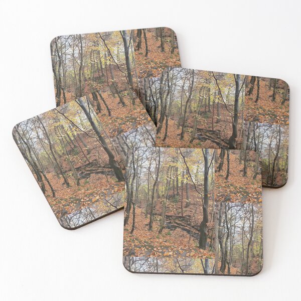 Item preview, Autumn stream with trees photograph.  designed and sold by esvb.