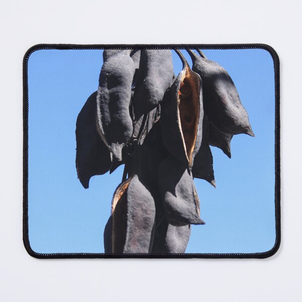 Item preview, Seedless Pods designed and sold by heatherfriedman.