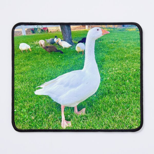Item preview, Goose designed and sold by Brittany Lane Allen.